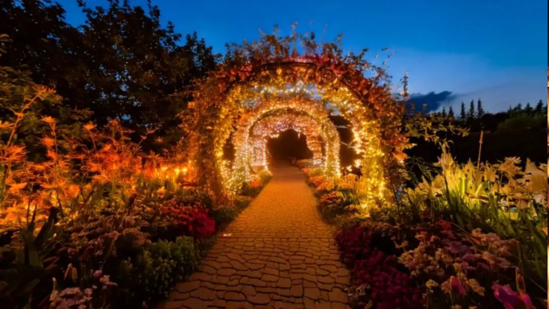 backyard lighting ideas