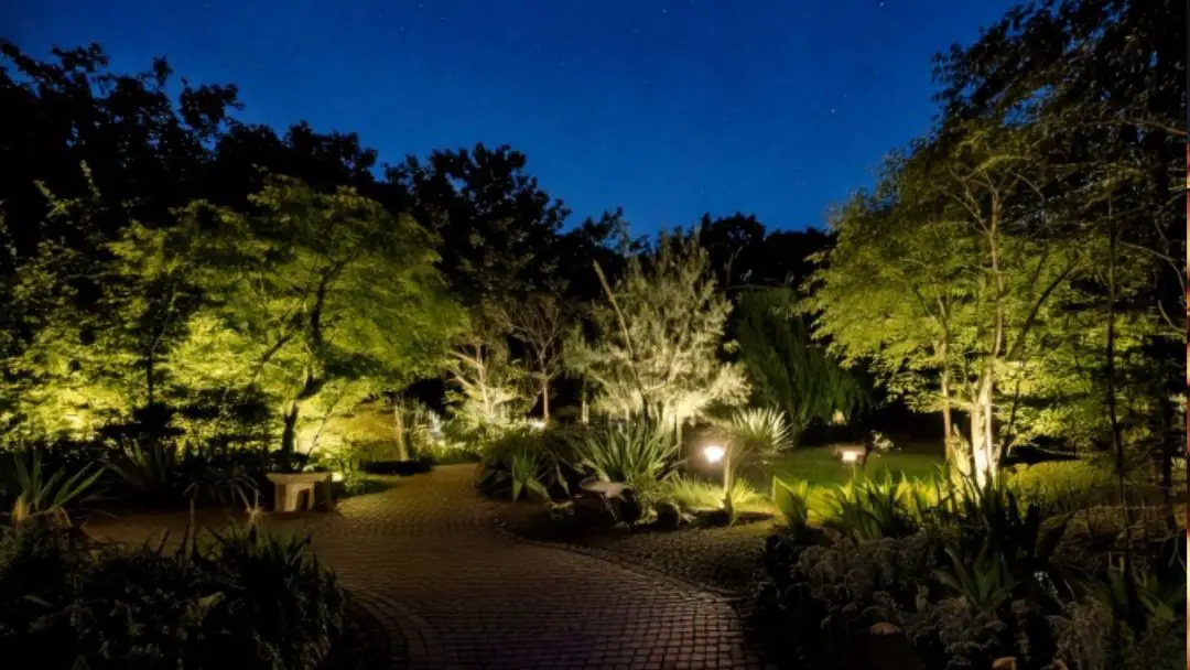 landscape lighting ideas