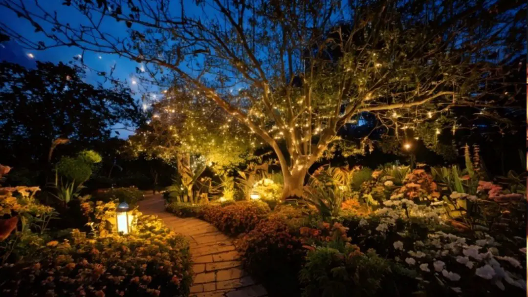 outdoor lighting ideas