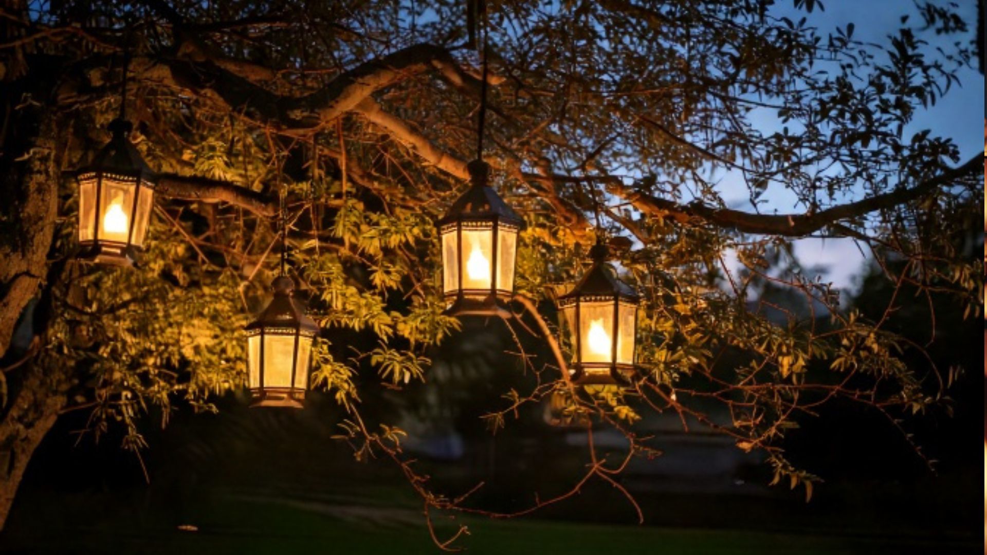 outdoor lighting ideas