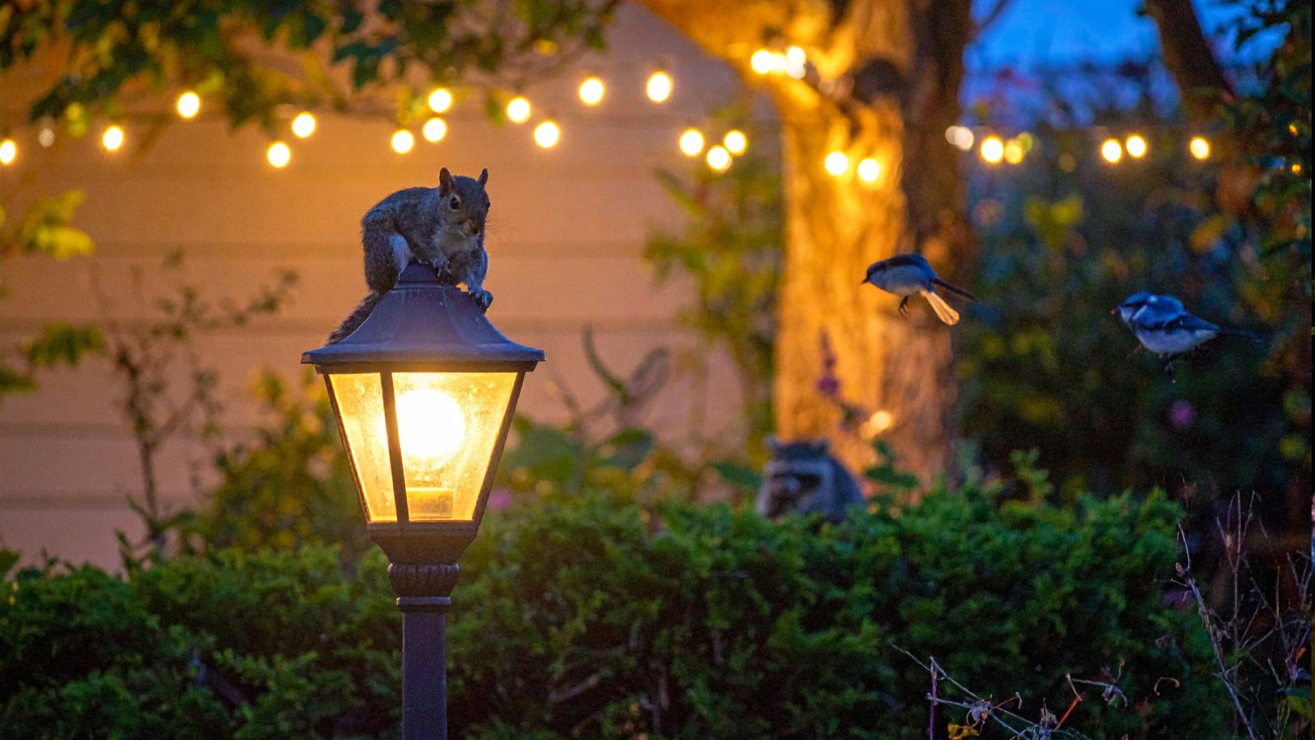 outdoor lighting tips