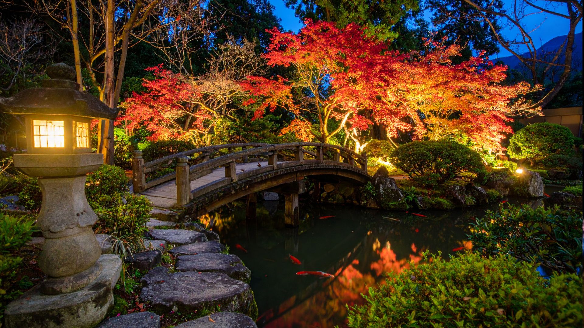 outdoor lighting